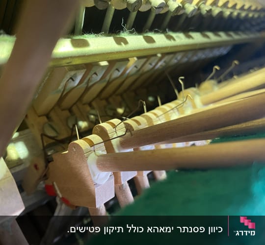 חלקים פנימיים של פסנתר, פינים ומיתרים